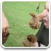 fotka